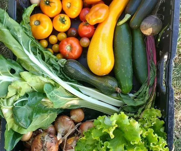 Gite,bergerie En Moyenne Montagne Tatil Evi Lacaze