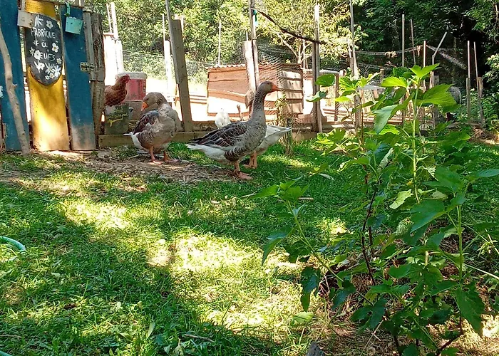 Tatil Evi Gite,bergerie En Moyenne Montagne *